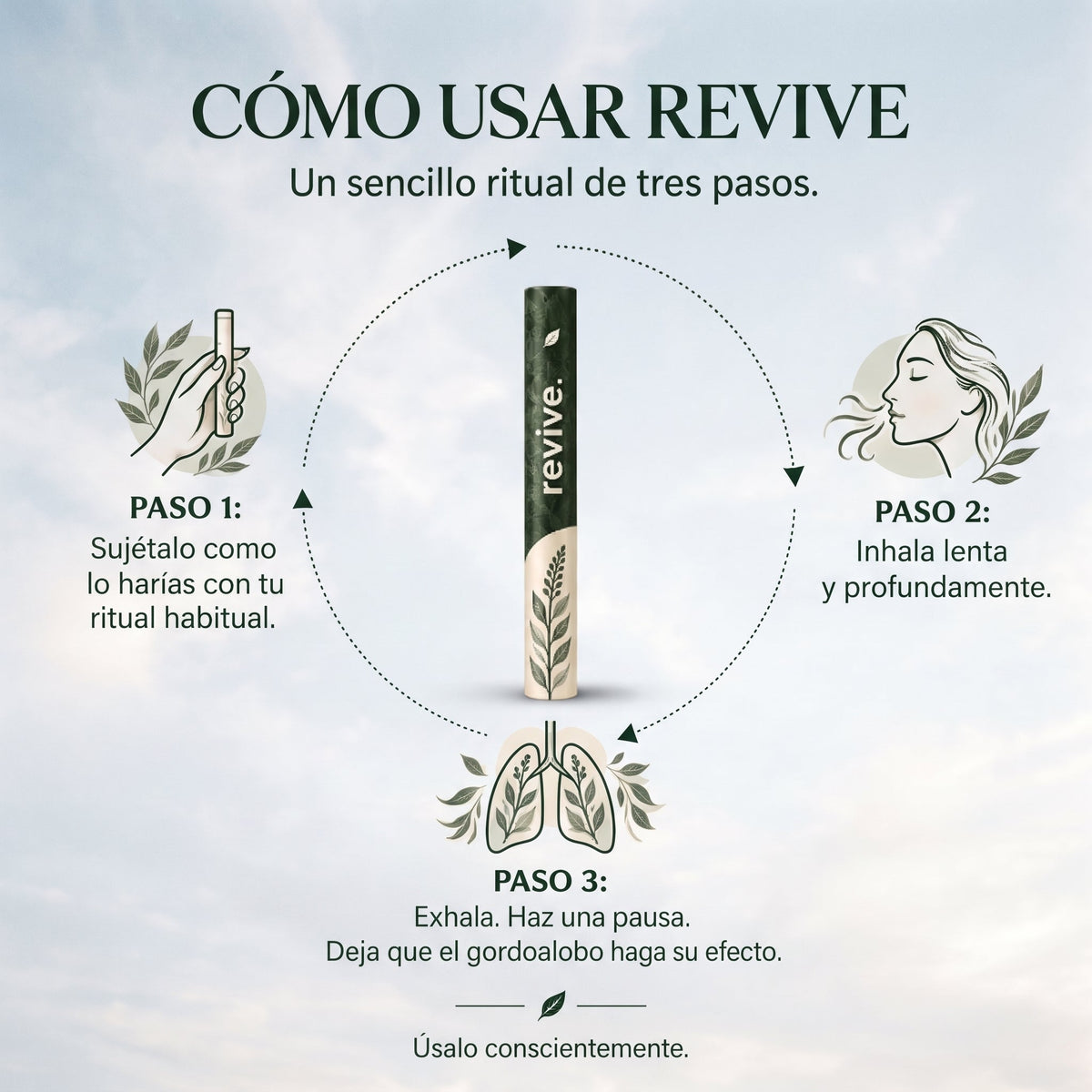 Inhalador de Gordolobo Revive